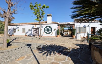 Medically Supervised Detox in Spain: Your Path to Recovery