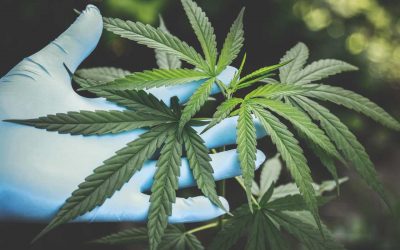 The Complex Relationship Between Cannabis and Depression
