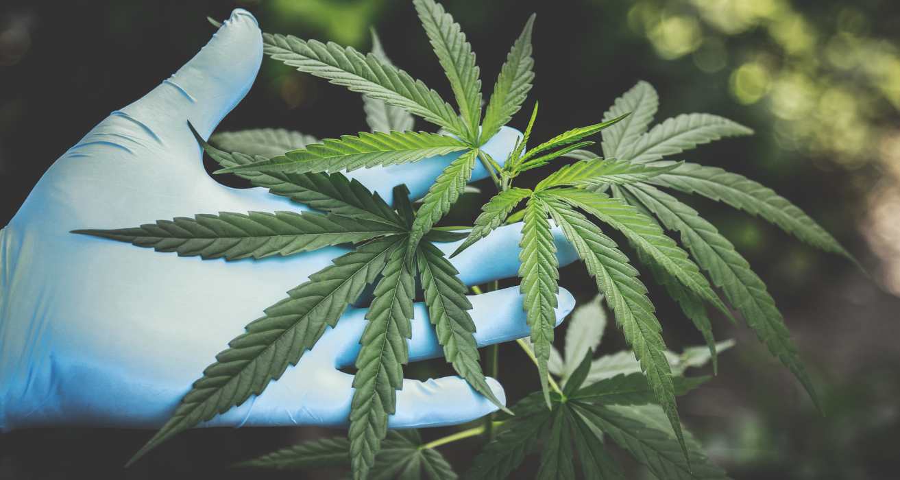 Cannabis and Depression
